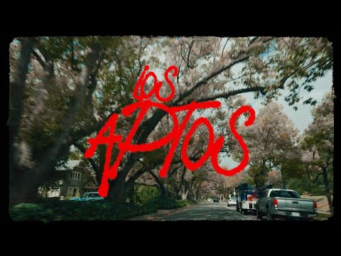 Los Aptos - Temporadas (Mini Documental)