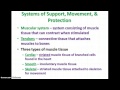 Human Skeletal and Muscular Systems