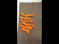 Exploring Lipid Macromolecule Testing