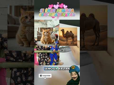 CERY NANGIS BUKAN KARNA SAPI 🤣 #hiburan #satisfying #fypviralシ #shorts