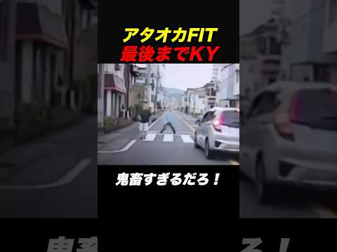 ゼブラ乱入FIT