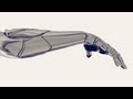 Neuroscience and Brain-Machine Interfaces