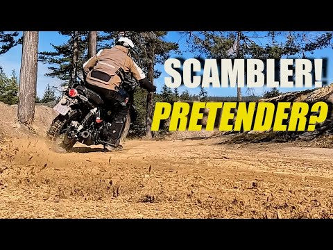 Royal Enfield Bear 650 | The ultimate Scrambler Test