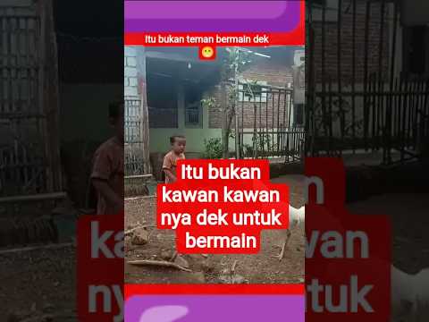 ITU BUKAN TEMEN BERMAIN DEK