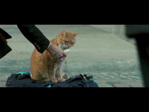 A Street Cat Named Bob - Meeting Bob Featurette - At Cinemas November 4