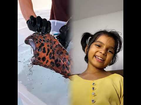 Thank you for watching, thank you for liking, I wish you happiness. #pov #foryou #storytime #fyp