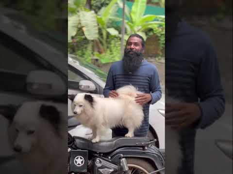 ഞാനവന്റെ വാലങ്ങു നിവർത്തി....😂😂😎