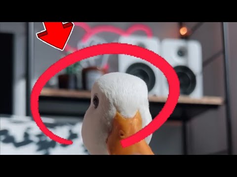 बत्तख का अनोखा सफर: एक सच्ची कहानी#DucklingJourney#sedo #happypetstory #heartwarming #shortfeed