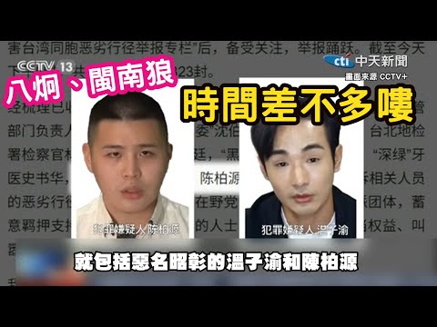 央視15分鐘專題報導！八炯、閩南郎，你們時間差不多嘍....