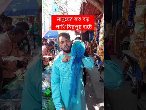 মানুষের মতো বড় পাখি মিরপুর হাটে | পাখি | Pakhi | মিরপুর ১ পাখির হাট | টিয়া পাখি | Tiya Pakhi #short