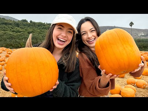 Twins vs Twin! Who picked the Best Pumpkin?