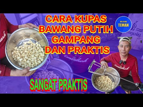 ALAT KUPAS BAWANG PUTIH DAN BAWANG MERAH BISA DI ORDER DI NO/WA:081381078807 #ALATPENGUPASBAWANG