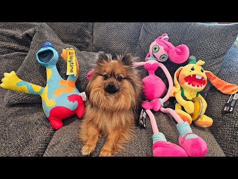 Unboxing New Official Deluxe Poppy Playtime Plushies! Doey, Mommy, and Bunzo