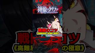 『神貌のクリファ』戦闘のコツ《高難易度の防御の極意》