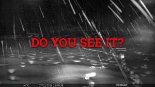 We left a camera in Chornobyl for 3 months. This is what it saw