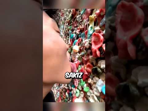 SAKIZ DUVARINI ASLA YALAMAYIN! ??