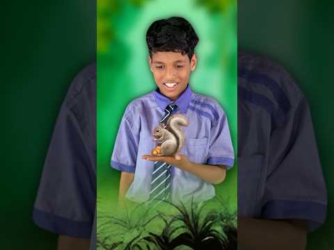 गिलहरी Part 1 #mastikipaathsala #gilehri #srsir #dolly #doli #nimuda