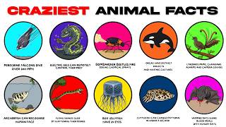 The Craziest Animals Facts You NEVER Knew