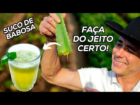 SE EU FOSSE VOCÊ COMEÇARIA A TOMAR SUCO DE BABOSA HOJE! | Dr Dayan Siebra #dieta #emagrecer #detox