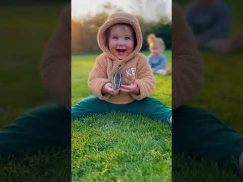 Gently Does It โค๏ธ (Toddler's First Pet) #baby #pets