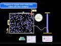 Exploring the Relationship Between Pressure and Volume in Gases