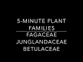 Characteristics of Plant Families and Genera