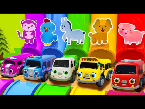 Itsy Bitsy Spider, Johny Johny Yes Papa..With Excavator, Dump Truck & Garbage Truck | Nursery Rhymes