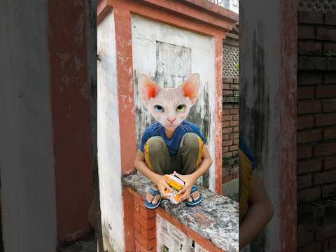 Cat kuch bol kyu nahi raha 🙄 #youtubeshorts #ytshorts #shorts #comedy #funny #shortsfeed