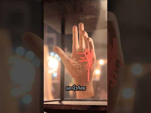 การขยับนิ้วที่เป็นไปไม่ได้?!!  #สาระ #สาระความรู้ #ความรู้ #วิทยาศาสตร์ #นิ้ว #นิ้วล็อก #บันเทิง