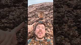 1 penny for YOU😺 #funny #mrbeast #comedy #mysterybox #kaicenat #memes #memesdaily #viral #foryou