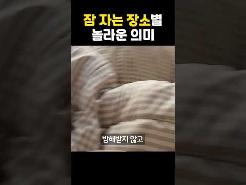 강아지가 어디서 자는지 꼭 확인해야 하는 이유 #shorts