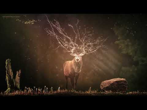 ADHD Relief, Deep Focus Music with Pulsation, ADD Music for Concentration, ADHD Music