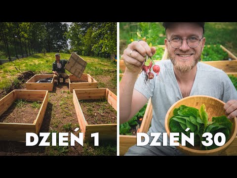 Własny eko WARZYWNIK dla LENIWYCH 🥬🥕