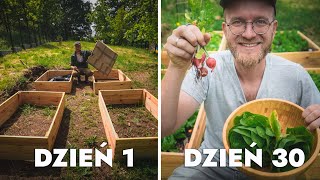Własny eko WARZYWNIK dla LENIWYCH 🥬🥕