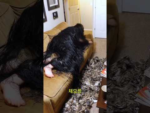 세계에서 가장 긴 체모를 가진 여자