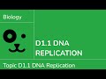 DNA Replication and Analysis Concepts