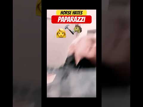 Horse hates paparazzi ๐ฉ๐จ๐ด #funnyshorts #viralshort
