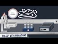 DNA Analysis Techniques and Applications