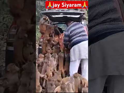 ?Jay Siyaram ?