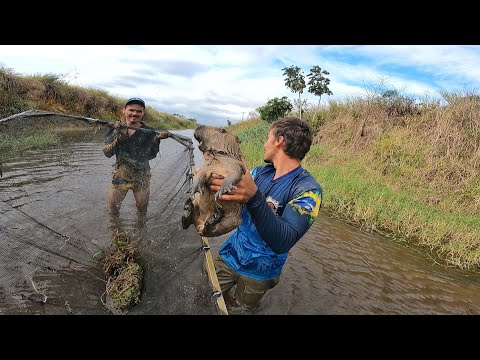 PESCARIA DE PENEIRÃO PEGAMOS A FILÓ, CAPIVARA NO PENEIRÃO SO VENDO PARA ACREDITAR!