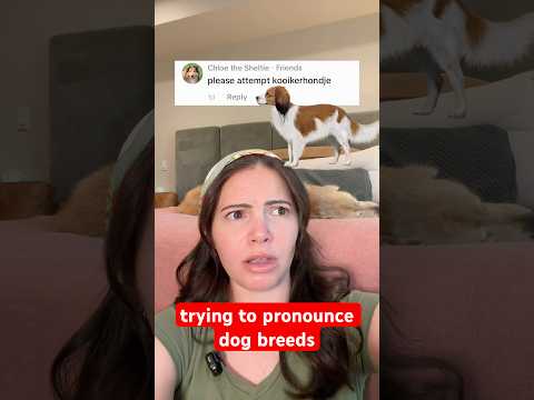 please correct me if Iโm still getting them wrong ๐ญ #mispronounced #dogbreeds