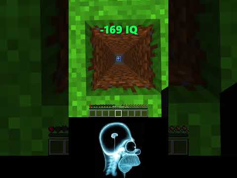 -969 IQ vs 6969 IQ Minecraft (World's Smallest Violin) #shorts