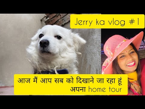 Mere jerry ne kaise kiya vlog #1million