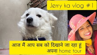 Mere jerry ne kaise kiya vlog #1million