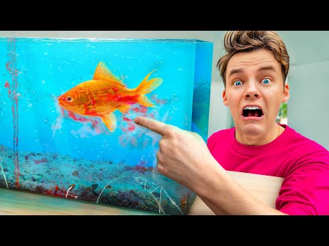 SOMETHING Is Killing My Fish!!