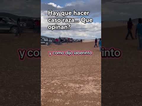 #foryou #parati #horse #shortvideo #shorts #viral #viralvideo #video #trending #trend #fyp
