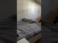 3 bedroom student apartment in Headingley, Leeds