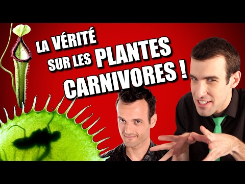 IDÉE REÇUE #20 : Les plantes carnivores (feat. Fabien Olicard)