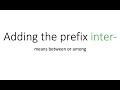Understanding Prefixes and Syllables