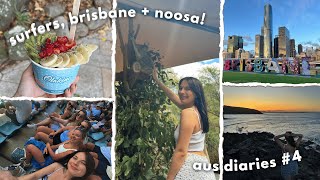 surfers paradise, brisbane + noosa! koalas, exploring everglades + bday surprises | aus diaries #4